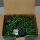 WATERGLIDE Lighted Christmas Green Garland 15FT, with Clear String Lights, Pre-lit Artificial Greenery Garlands, Plug in & Connectable Xmas Lights for Indoor Outdoor Holiday Party Decor (Warm White)