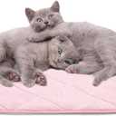 NWK Fluffy Self Warming Cat Mat, Cat Blanket, Thermal Dog Mat, Washable, Non-Slip Bottom for Sofa & Crate & Kennel & Car Seat (Blush Pink, Medium (28'' X 19'' X 0.4''))