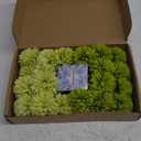 Kimura's Cabin 20Pcs Green Artificial Chrysanthemums Fake Silk Ball Flowers Mums Bouquets Arrangements Wedding Party Decor St Patricks Day Home Kitchen Garden Table DIY Floral Centerpieces (Green)