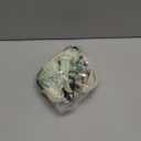 TUG Dog Harness (Large, Cream)