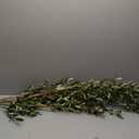 Frogued Artificial Olive Branches for Vases, 35 Inch Faux Olive Branch Greenery Stems Fake Plants with 6 Branches Green Branch Home Decoration Indoor Green