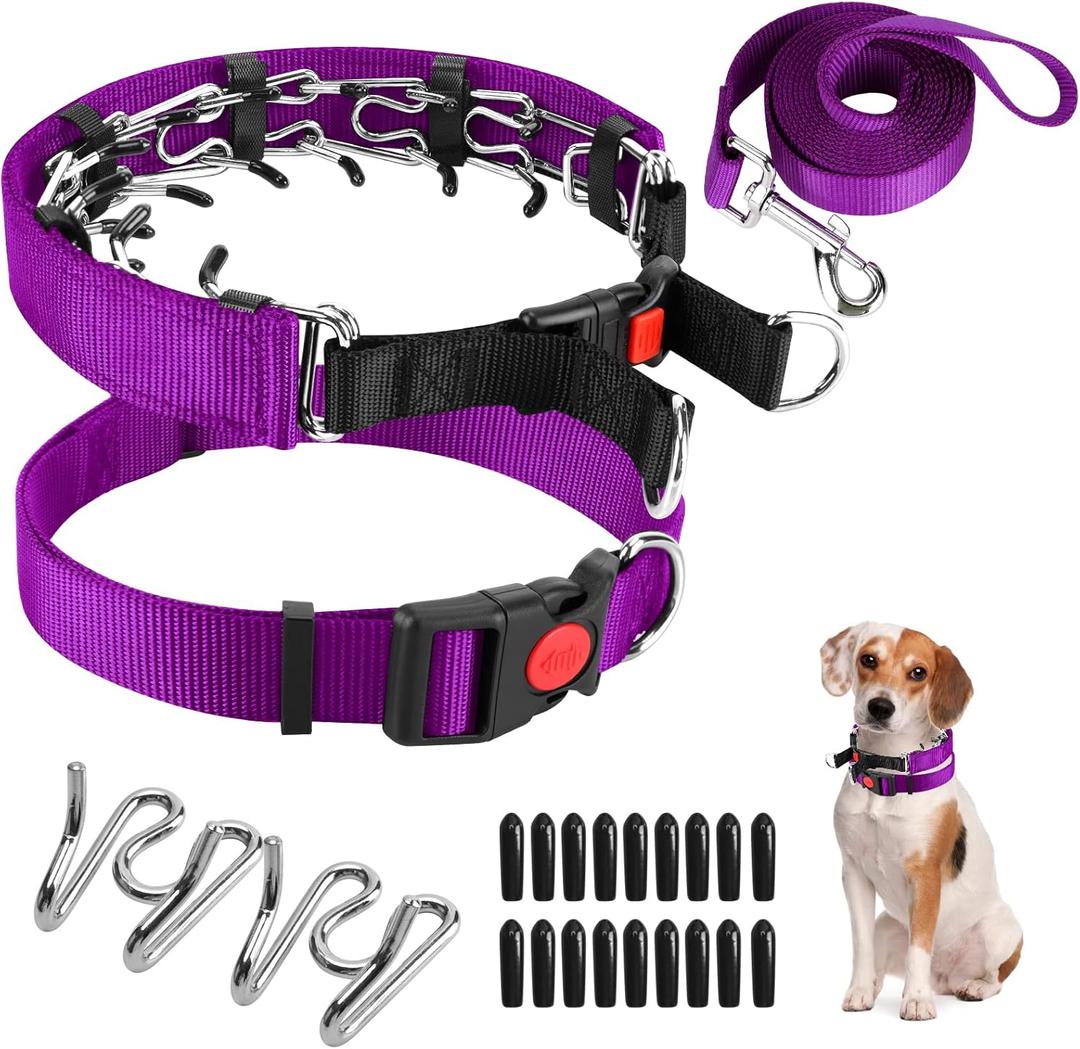 Prong Training Collar with Comfort Tips and Quick Release - Dog Choke Pinch Collar with Nylon Cover - Classic Collar and Leash for Small to Large Dogs (Medium, 3mm, 14-18'' Neck, Purple)