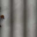 Bedfolks Waterproof Dog Crate Bed,Plush Dog Bed with Removable Washable Cover,Faux Fur Dog Crate Pad for Medium Dogs,Fluffy Dog Kennel Bed 29"x21",Cow Print