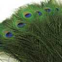 THARAHT 24pcs Peacock Feathers Natural Long in Bulk 30-32 inch(75-80 cm) for Floral Arrangements DIY Craft, Wedding Home Party Holiday Decoration Peacock Feathers