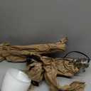 Adesso Floor Lamp with 5 Movable Shades & Adjustable Brightness  Perfect Lighting for Bedroom Decor, Beauty & Art Studio, Silver