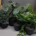 Der Rose 8Pcs Fake Plants Hanging Artificial Ivy Vine Faux Eucalyptus Hanging Plants for Home Boho Wall Shelf Indoor Outdoor Decor (Black Pots)