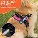 Essential Dog Harness, No Pull Pet Harness with 3 Side Rings for Leash Placement, No Choke, Reflective, Adjustable Pet Vest, Easy On-Off & Improved Control Handle, Training, Walking, Running, L