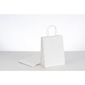 RACETOP White Paper Bags with Handles Bulk,8"x4.5"x10.8" 50Pcs,Paper Bags Birthday Wedding Party Favors Grocery Retail Shopping Business Goody Craft Gift Bags
