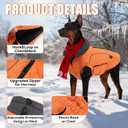 EMUST Dog Jackets for Winter, Cold Weather Coats for Dogs, Soft Winter Jackets for Medium Large Dogs, Orange, L