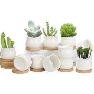 ZOUTOG 12 Pack Succulent Pots, 2.6 Inch Mini Ceramic Pots for Flower or Cactus Plants with Drainage Hole,Plants Not Included