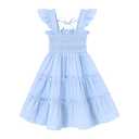 YOUNGER TREE Toddler Girl Dress Kids Sleeveless Ruffle Dresses for Girls Summer Outfits Beach Sundress(Blue,3-4 T), Blue1