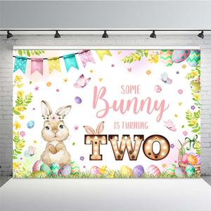 MEHOFOND Some Bunny is Turning Two Birthday Backdrop Spring Easter Themed 2nd Birthday Party Supplies for Girls Photography Banner Background for Cake Table 7x5ft