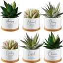 Sieral 6pcs Bible Verse Succulent Pots 3 x 3 x 2 Inch Christian Gift White Ceramic Flower Planter with Bamboo Tray Small Pots Succulent Planters for Patio Garden, Plants Not Included (Bright)