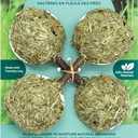 Oxbow Enriched Life Timbells, Rabbit Toys, Guinea Pig Toys, Enrichment for Bunny, Guinea Pig, Hamster, Rabbit, Chinchilla, Timothy Hay, Chinchilla Cage Accessories, Small Pet Accessories for Cage (.1 LB)