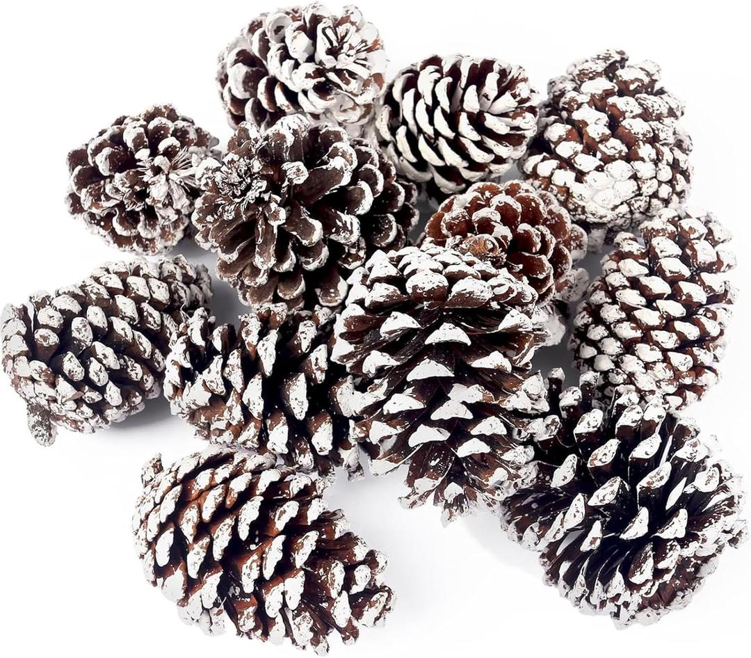 JOHOUSE 12PCS Large Snow-Dusted Pine Cones (3.55 in)  Natural Big Pinecones for Christmas Tree Ornaments, Wreath Making, Bowl Fillers, DIY Crafts & Winter Vase Filler