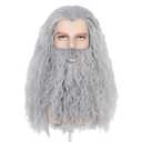 Yan Dream Grey Men Long Curly Hair Wig with Beard, Heat Resistant Synthetic, Classic Style, Adult Men's Cosplay Wig