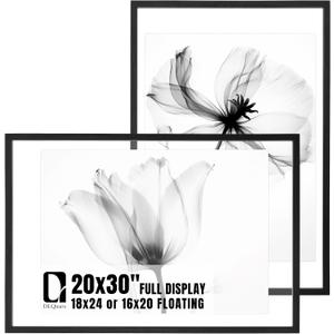 DLQuarts 20x30 Floating Picture Frame for 18x24/16x20/13x19/12x18 Photos, 2-Pack Solid Wood Double Plexiglass Wall Art Frames, Any Size Photo up to 20x30 Display, Matte Black