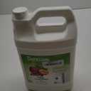 TropiClean High Concentrate Dog Shampoo, Professional Grade & Size for Groomers, 42:1 Dilution, Puppy Safe, USA Made, Pure Plum Scent, 1 Gallon