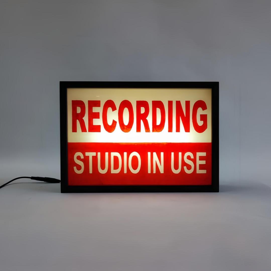 Recording RGB LED Neon Lightbox Dimmable Wall Mountable Pulsing Studio Warning Sign Illuminated Lights Sign for Cinema Libraries Cafes Home Company Desk Wall Decor USB Powered