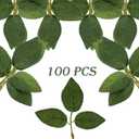 Vignor 100 Pcs Arifical Flow Stem with 5 medium