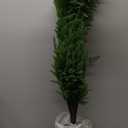 Norfolk Pine Christmas Tree Real Touch Faux Holiday Tree with Pot, Realistic Indoor Outdoor Decoration for Entryway, Living Room, Office, Apartment (5FT- 2Pack)