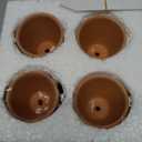 Riseuvo 32pcs 2" Small Mini Terracotta & Clay Pot Planter - Cactus Flower Nursery Terra Cotta Pots with Drainage, Perfect for Indoor/Outdoor Plants, Crafts