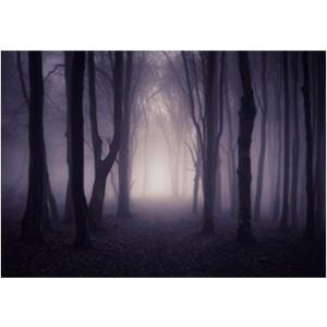Allenjoy 7x5ft Misty Dark Forest Woods Halloween Backdrop for Photography Gloomy Grove Mystery Background for Portrait Magic Witch Wizard Sorcerer Ghost Themed Party Banner Decors Photo Props
