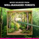 Prismacolor Premier Colored Pencils Soft Core Landscape Set Adult Coloring 12 Count