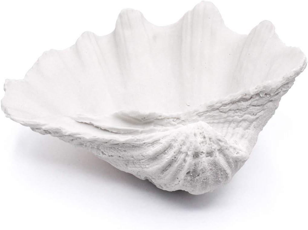 Seashell Decorative Bowl Clam Shell Decor Bowl Nautical Home Decor Coastal Bathroom Decor Beach Party Wedding Shell Decor (10.15", White)