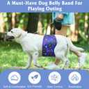 5 Pack Dog Diapers Male Reusable, Premium Belly Bands for Dogs, High Absorbing Male Dog Pee Wraps for Doggie in Incontinence or Excitable Urination Dinosaur, M