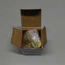 Brass Garden Hose Quick Connect Set with 3/4" GHT Thread, Water Hose Quick Connector Kit with Tap & Tool Adapters, 2 Female Couplings & 2 Male Plugs, Solid Brass Hose Connectors & Fittings