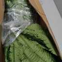CQURE 50" Large Fake Fern Artificial Ferns for Outdoors,96 Branches Set of 2 Realistic Artificial Boston Ferns Bush Plant for Indoor Outdoor Garden Porch Decor