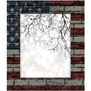 AUUXVA Picture Frames 8 x 10, Vintage American USA Flag Display Photos 7.5 x 9.5 without Mat, Wall and Tabletop Frames Collage for Home Gallery Decor