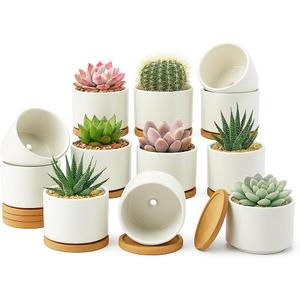 ZOUTOG 12 Pack Ceramic Succulent Pots,3.6 Inch Plant Pots,Succulent Planters with Drainage Hole & Bamboo Tray for Indoor Plants,White Small Flower Planters for Home,Office,Desk