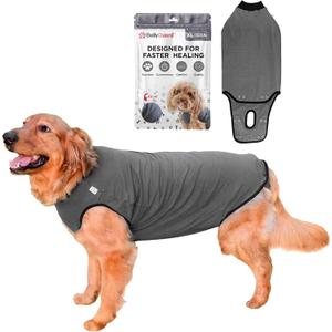 BellyGuard Recovery Suit for Dogs, Comfy Dog Surgery Suit, Female Spay and Male Neuter Onesie for Post-Op Care (X-Large, Grey)