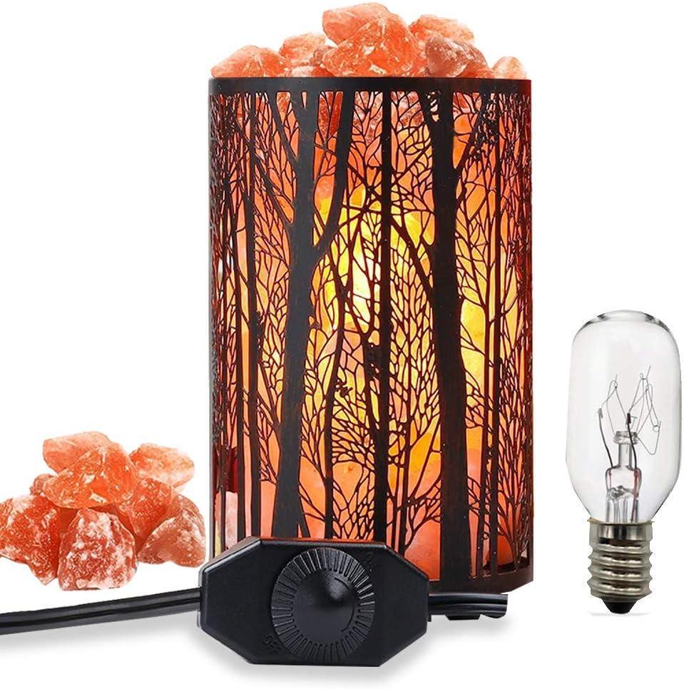 Shineled Salt Lamps, Natural Himalayan Salt Lamp, Forest Salt Lamp with Dimmer Switch, Salt Crystal Night Lights, Retro Metal Basket Decor Desk Lamp with Extra 25W Lamp Bulbs (Retro Red)