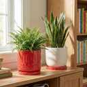 2 x Eightpot 2 Pack Plant Plates to Catch Water, Plant Trays for Pots Indoor Outdoors, 7.5 Inch Plants Water Catcher Tray, Round Flower Pot Saucers, Modern Decorative Dishes to Catch Water, Red