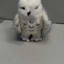 Douglas Wizard Snowy Owl Plush Stuffed Animal