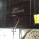 Samsung 65-Inch Class Crystal UHD U8000F 4K Smart TV (2025 Model) Endless Free Content, Crystal Processor 4K, MetalStream Design, Knox Security, Alexa Built-in