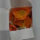 Artificial Poppy Flowers, 5 Bundles Faux Poppies with Stems for Floral Arrangements - Wedding, Home, Office, Party Table Centerpiece Decor (Orange)