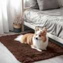 OLANLY 2x3 Machine Washable Small Bedside Rug, Soft Fluffy Shaggy Entryway Throw Rugs for Bedroom, Living Room, Indoor Floor Carpet for Kids Girls Boys, Nursery Rooms, Home Decor Aesthetic, Coffee