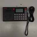 PRUNUS J168 AM FM Radio Bluetooth Speaker, Preset, Excellent Reception, TF Card Playback, Sleep Timer, USB C Charging, Headphone Jack, Long Antenna, Digital Radio AM FM