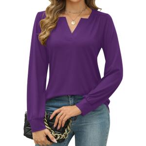 LUYAA Women's Tunic Tops Long Sleeve V Neck T-Shirts Blouses Dressy Casual Loose Fit Fall Shirt (Purple L) (Purple, L)