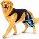 Dog Knee Brace for Rear/Hind Legs (ACL/CCL) – Dual-Leg Support with 4 Metal Stabilizers & Non-Slip Harness | Stability, Mobility & Pain Relief for Arthritis, Hip Dysplasia & Luxating Patella | L