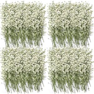 Lasnten 200 Pcs Mini Dried Babys Breath Pressed White Flowers Bulk Real Natural Flat Gypsophila Baby's Breath for Wedding Invitations Card Making Bookmark Candle Resin Art Craft DIY Home Party Decor