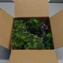 Der Rose 2Pcs Small Fake Plants Artificial Bonsai Tree Set Ficus and Cedar for Office Desk Shelf Room Home Zen Decor Indoor (Green)