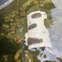 Koi Pond Cave, Extra Large Pond Decor, Resin Fish Cave for Pond, 20" x 13.4" x 7.5"