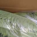 FOREST PRINCE 35" Ferns Artificial Bush Plants Large, 2 Artificial Boston Ferns with 39 Fronds for Outdoors Home Decor