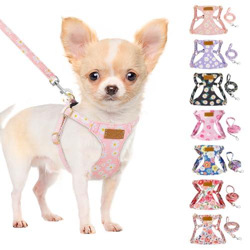 SlowTon No Pull Dog Harness with Leash - Soft Lightweight Floral Pattern Puppy Harness, Adjustable Pet Harness for Small Medium Dogs (Pink Daisy XXS)