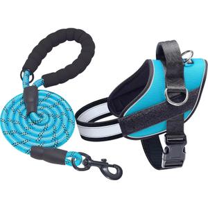Haapaw Essential Dog Harness, No Pull Pet Vest with 3 Leash Clips, No Choke, Reflective, Adjustable and Padded, for Easy Walking and Training for Small Dogs(XS, Blue)